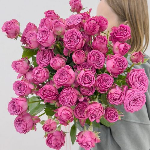 Кустовая роза купить в бресте