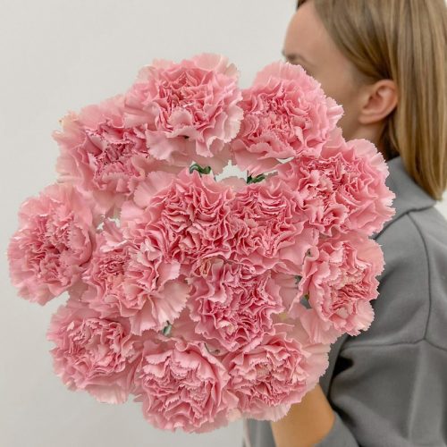 Купить гвоздику в Бресте